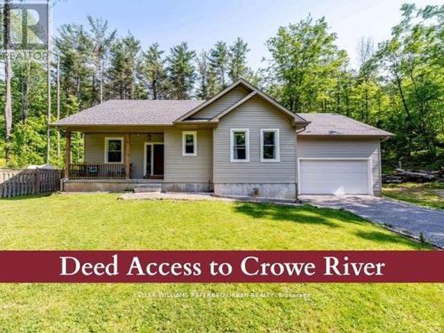 51 Pine Grove Road, Trent Hills, ON, K0K 2M0 house for sale | Listing ID X13641 | Royal LePage