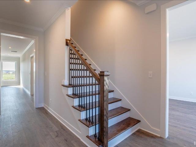 5203 Jackson Drive