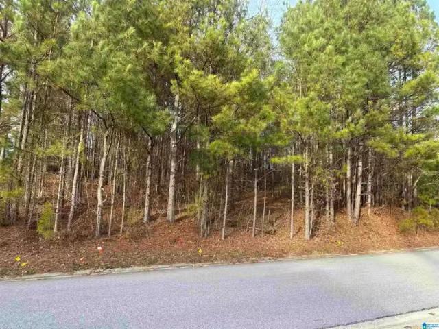 520 LIME CREEK CV # 1, CHELSEA, AL 35043