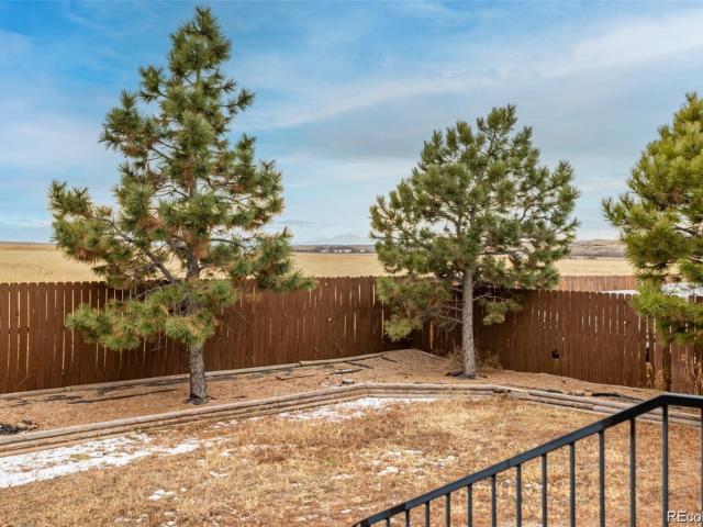 520 Shasta Court