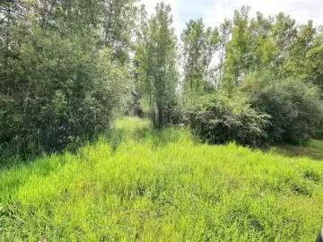 5219 Twp Road 541A, Rural Lac Ste. Anne County, AB, T0E 1V0.