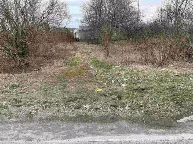 5225 28 Highway, River Ryan, NS, B1H 1E5 vacant land for sal.