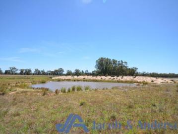 522 Baan Baa Road, Baan Baa NSW 2390