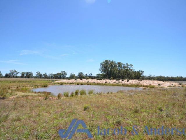 522 Baan Baa Road, Baan Baa NSW 2390