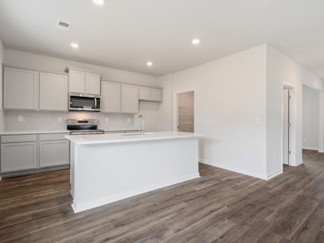 522 Great Salt Lane