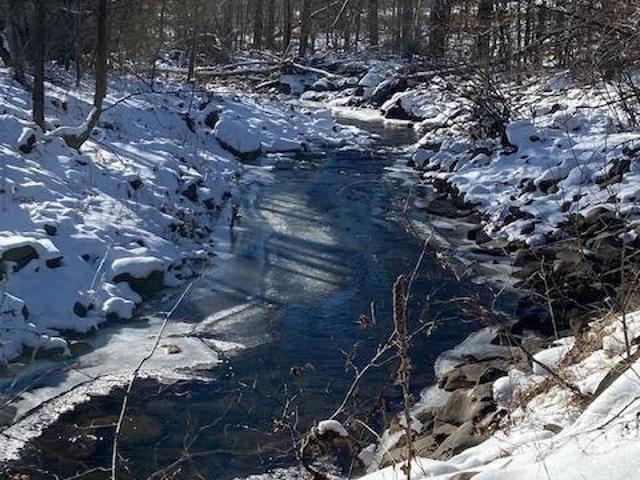 523 Mitchell Hollow Road