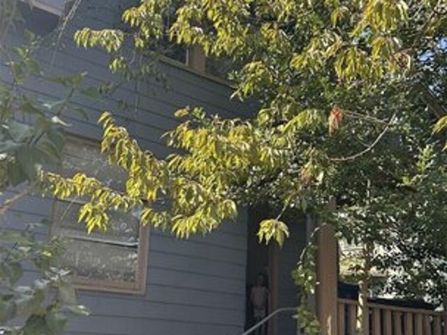 5247 Brooklyn Ave NE, Seattle, WA 98105