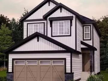 House for sale in Downtown Edmonton - Fireplace