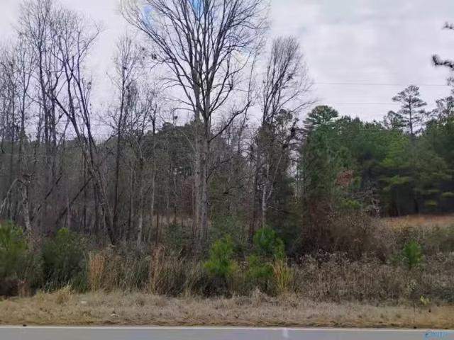 5270 COUNTY ROAD 147, LEESBURG, AL 35983