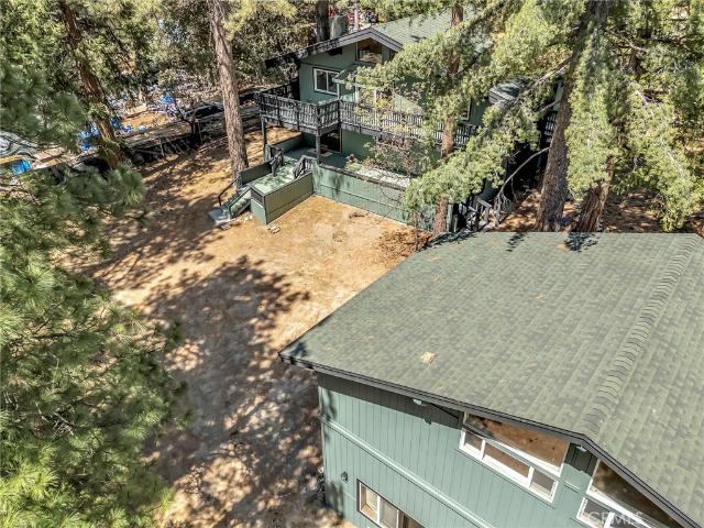 52835 Sugar Pine