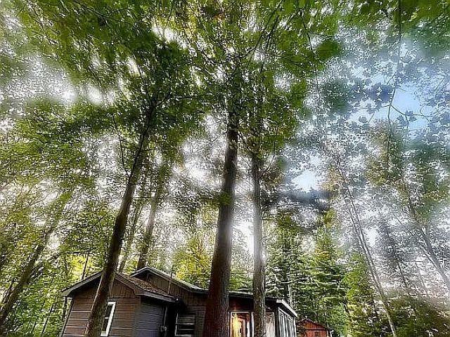 5298 Mills Drive # Lot: 87.88