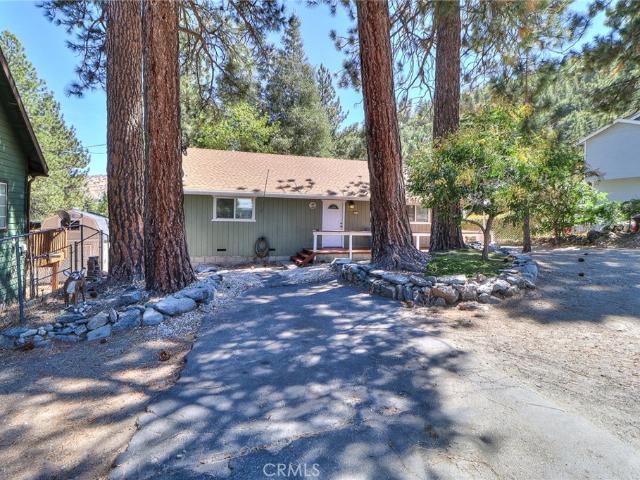 5291 Orchard