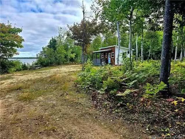 52.29 Acres Chemin Lebouthillier, Saint Simon, NB, E8P 1Z4 v.