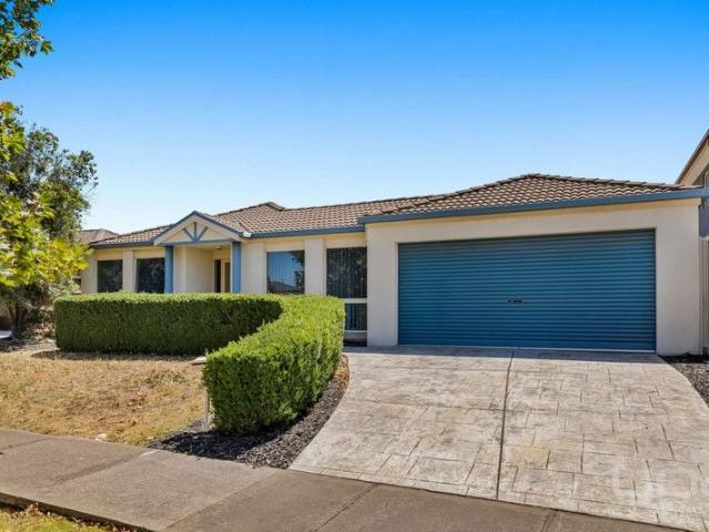 52 Cambridge Crescent, TAYLORS LAKES