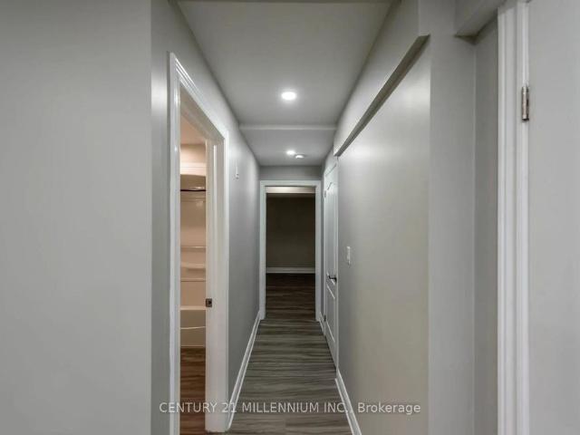 52 Marion Street, Hamilton