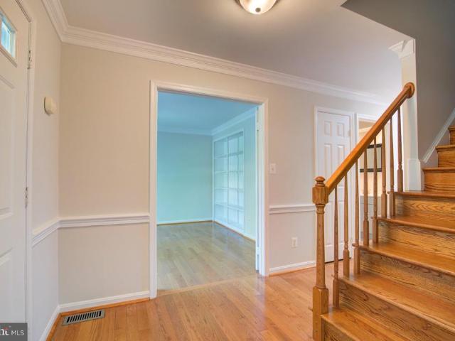 5305 Cat Tail Court