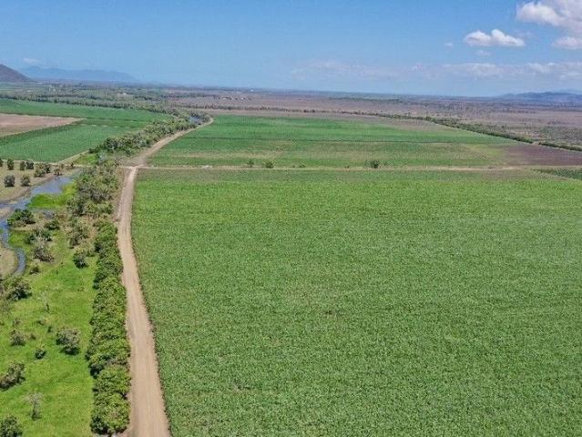531 Acre Irrigated Cropping Property Sheds Machinery