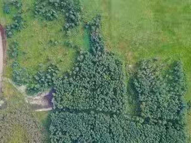 53324 55 Range Road, Rural Parkland County, AB, T0E 2B0 vaca.