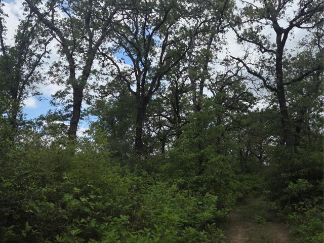 5345 Hwy 36
