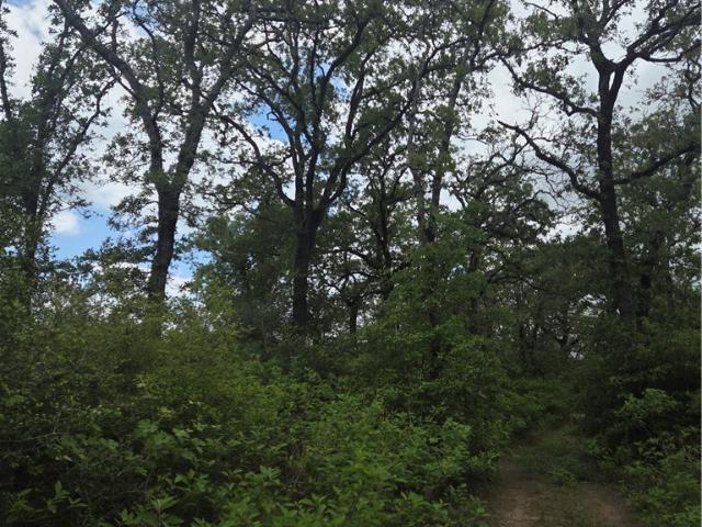 5345 Hwy 36