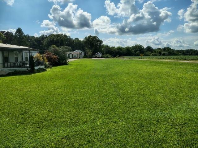 535 County Rd 1289