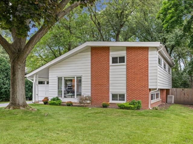 535 edens lane