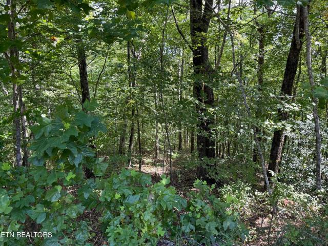 538 Pine Hill Cemetery Rd