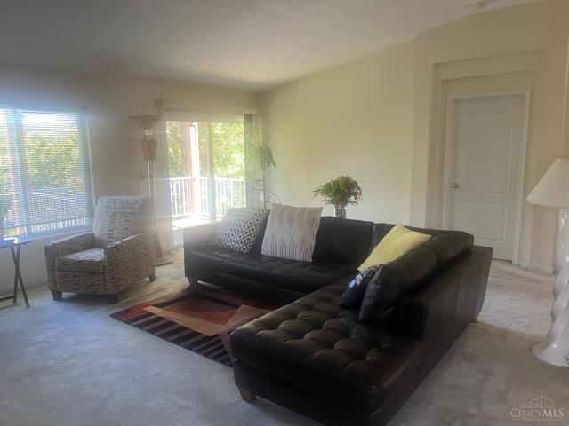 5392 Scarletoak Drive