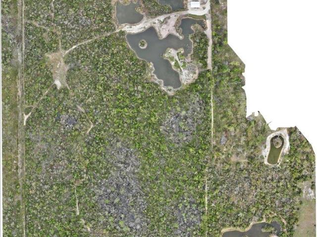 539 NW 5th Ave, Steinhatchee, FL 32359 | MLS #397884