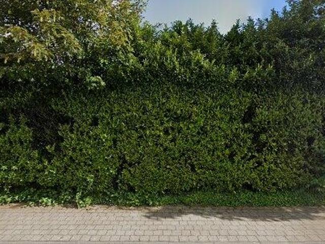 57 m2 apartment for rent in Sint Niklaas