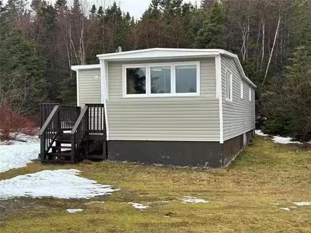 57 Marysvale Road, Marysvale, NL, A0A 2Z0 house for sale Li.