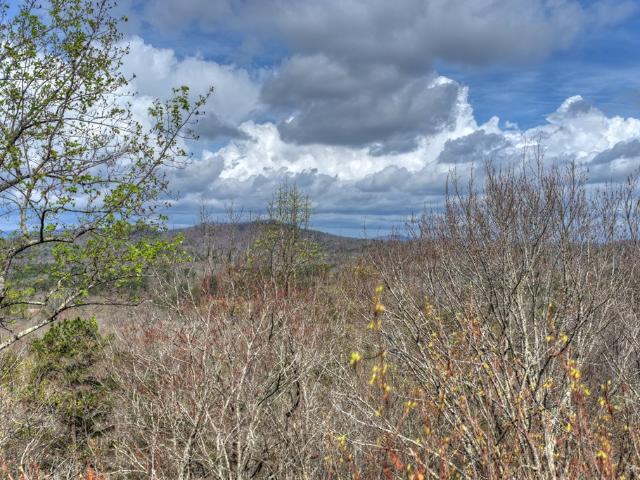 57 Meadow Hl, Morganton, GA 30560 | MLS #429366