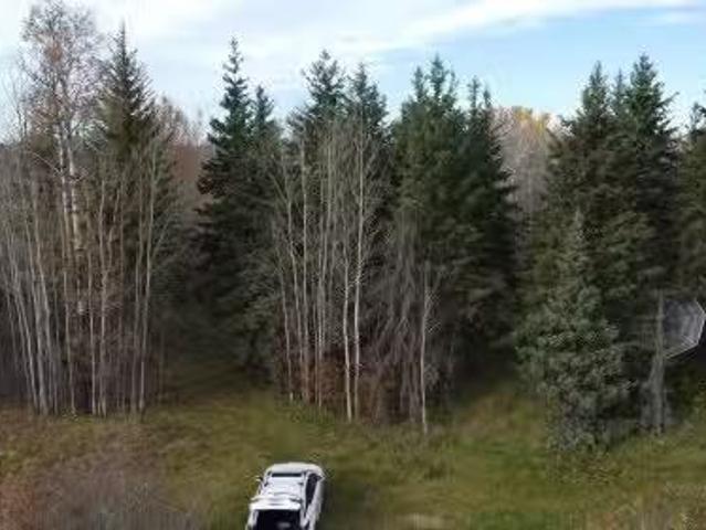 54104 Rr35, Rural Lac Ste. Anne County, AB, T0E 0A0 vacant l.