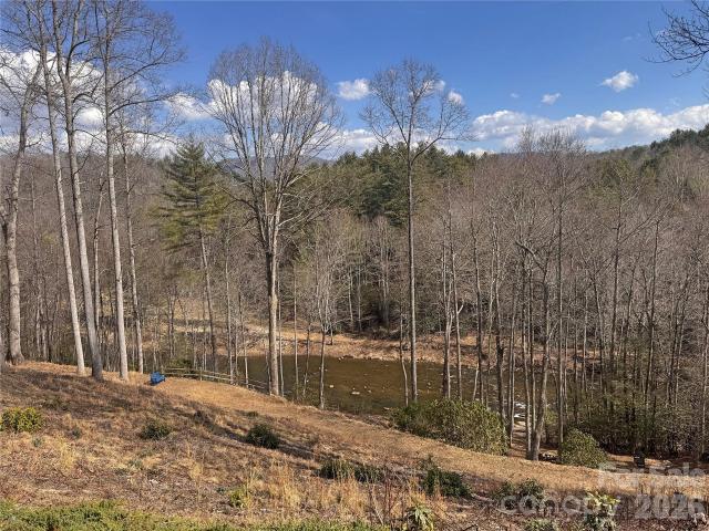 542 Allen Mountain Lane