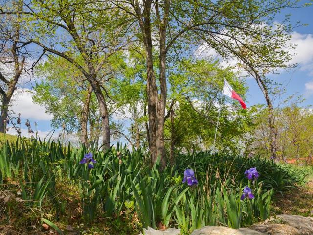 545 County Road 2923, Mabank, TX 75147 | MLS #21228