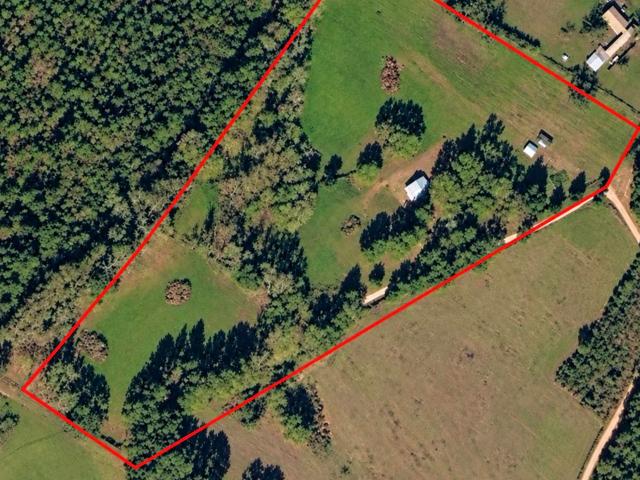 545 County Road 437