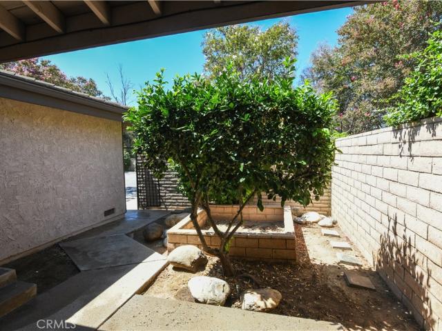 5468 Apricot Lane