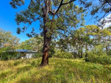 546m2 Vacant block with Privacy & Potential