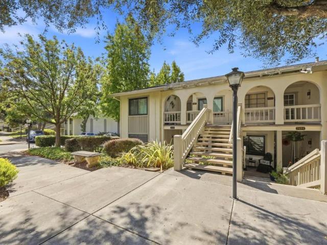 5488 Cribari Green