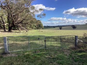 54.35Ha 134.3Ac  Fenced pasture and bush: Derelict House