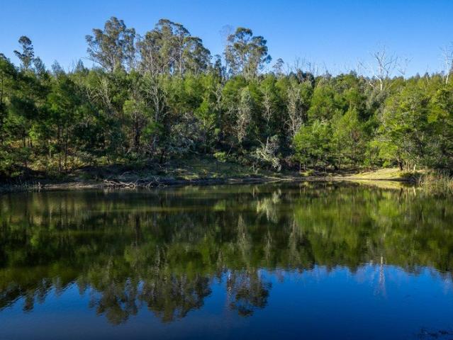 54 Acres, Off Grid Opportunity, Dwelling Entitlement