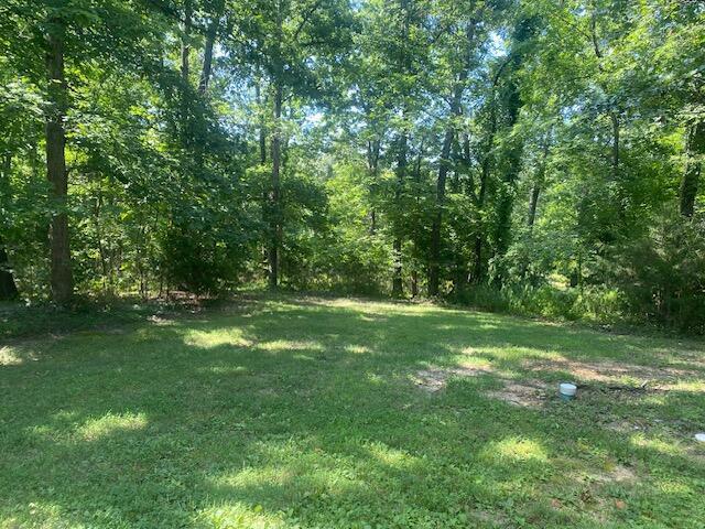 54 Buckskin Drive