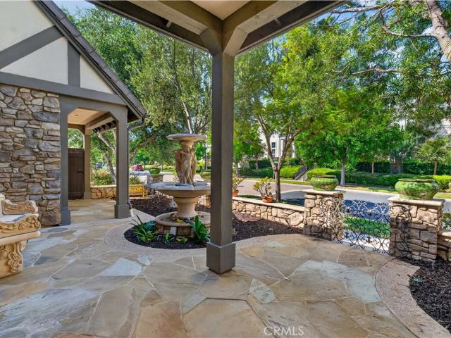 54 Desert Willow