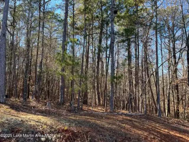 54 DOE LN, DADEVILLE, AL 36853