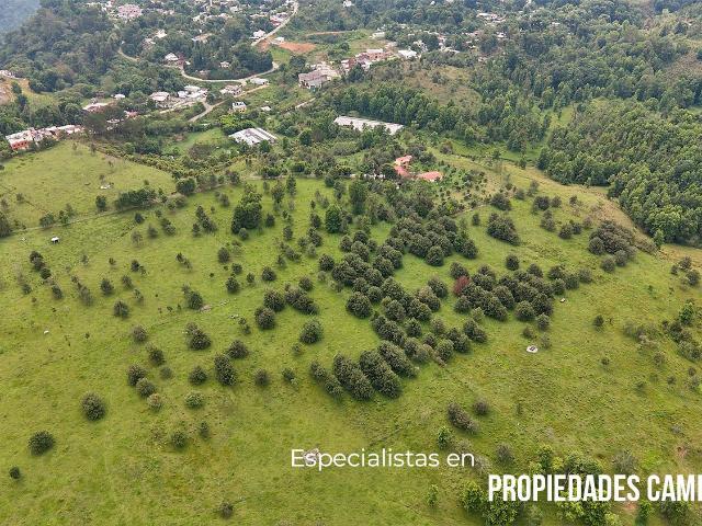 54 hect?reas para Inversi?n en Xicotepec