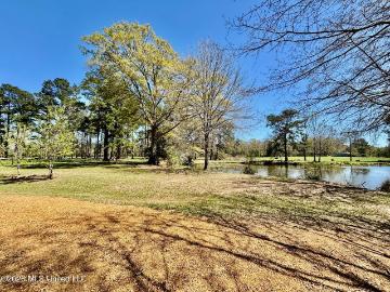 54 Kennedy Rd, Unit 1, Tylertown, MS 39667 | MLS #4143