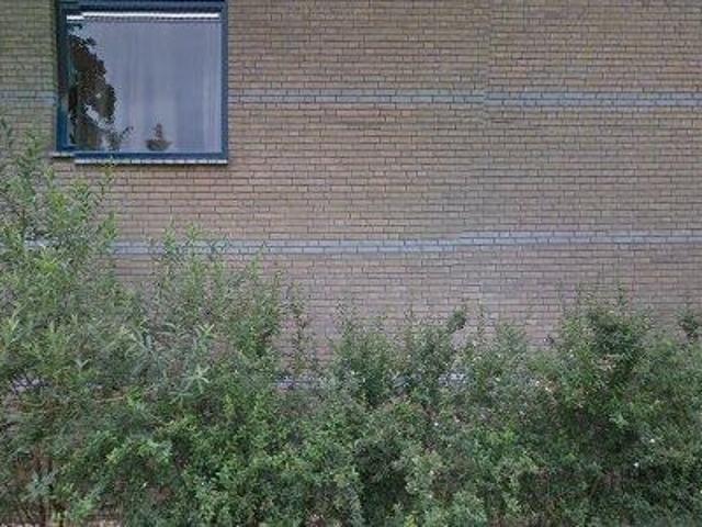 54 m2 apartment for rent in Nijmegen