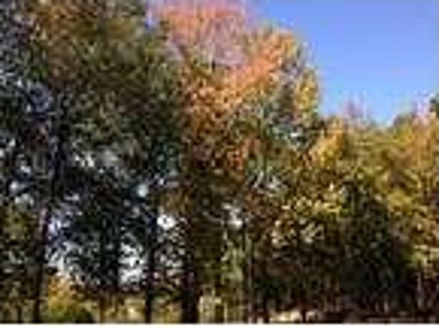 $550 / 2br 900ftÂ² Race to River Run today to find your new home!