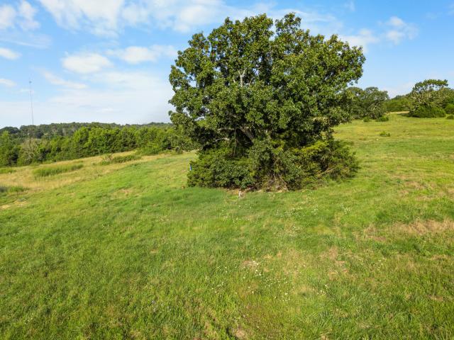 550 County Road 900
