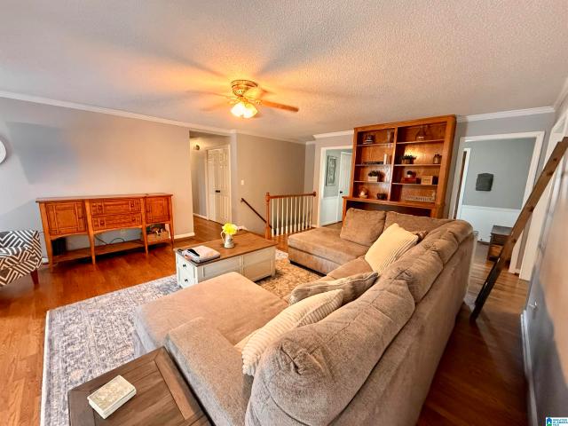 554 Rena Drive